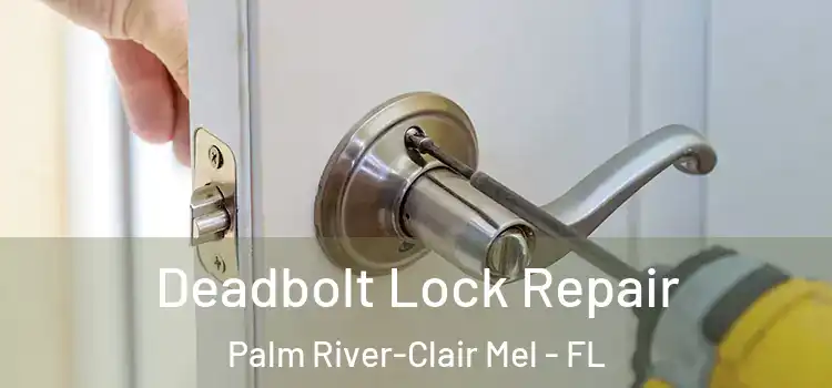 Deadbolt Lock Repair Palm River-Clair Mel - FL