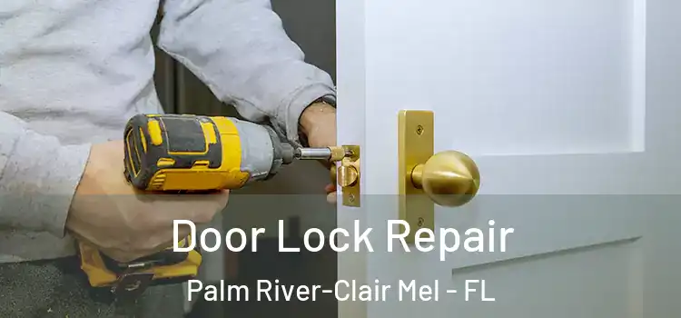 Door Lock Repair Palm River-Clair Mel - FL