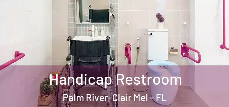 Handicap Restroom Palm River-Clair Mel - FL