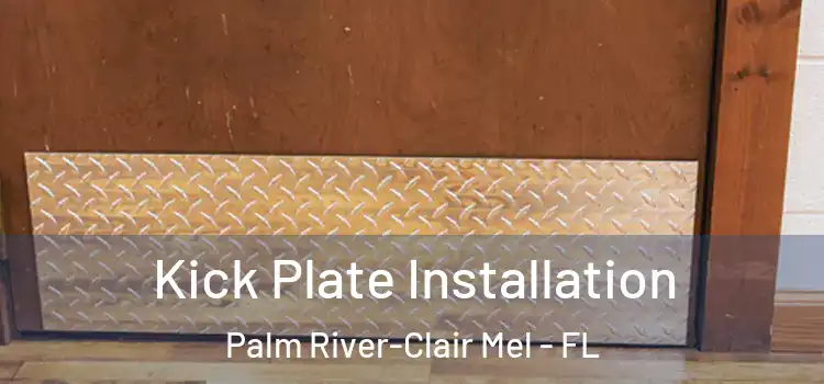 Kick Plate Installation Palm River-Clair Mel - FL