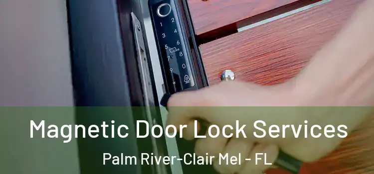 Magnetic Door Lock Services Palm River-Clair Mel - FL